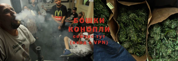 бошки Белокуриха