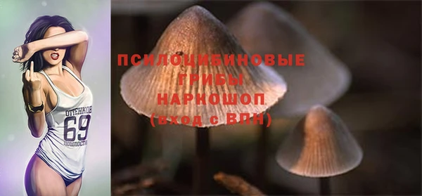 гидра Баксан