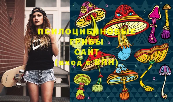 2c-b Белоозёрский