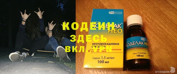 бошки Белокуриха