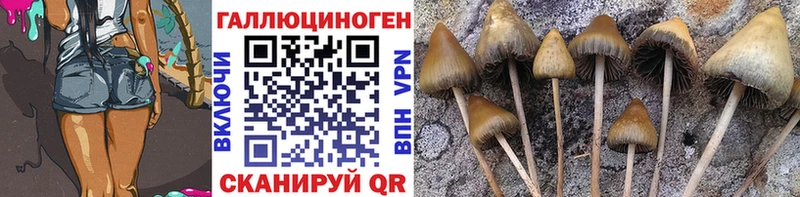 продажа наркотиков  Бор  Галлюциногенные грибы мицелий 